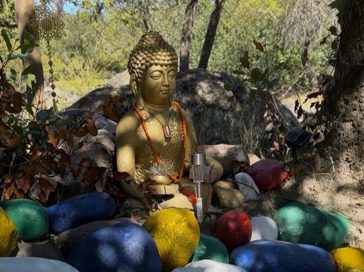 camping (5)